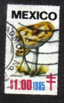 Stamps Mexico -  Hongos