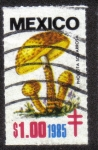 Stamps Mexico -  Hongos