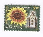 Stamps Romania -  Helianthus annuus