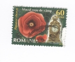 Stamps Romania -  Papaver rhoeas