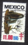 Stamps Mexico -  Hongos