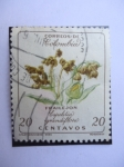 Stamps Colombia -  Frailejón  Espeletia grandiflora.