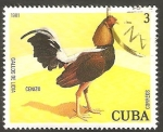 Sellos de America - Cuba -  Gallo de pelea