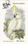 Stamps Oman -  Aves del Paraíso