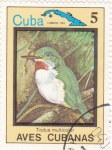 Sellos de America - Cuba -  Todus multicolor - AVES CUBANAS