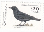 Stamps Chile -  Tordo -AVES CHILENAS