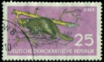 Stamps Germany -  406 - Castor 