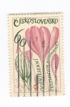 Stamps Czechoslovakia -  Coichicum Autumnale