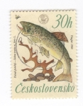 Stamps Czechoslovakia -  Salmón trucha