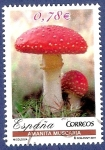 Stamps : Europe : Spain :  Edifil 4338 Seta matamoscas Amanita muscaria 0,78 (4)
