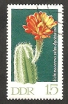 Stamps Germany -  1318 - Cactus echinocereus salm dyckianus