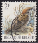 Stamps : Europe : Belgium :  Intercambio