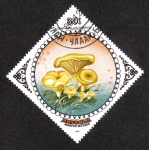 Stamps Mongolia -  Cantharellus Cibarius