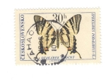 Stamps Czechoslovakia -  Mariposas. Iphiclides Podalirius