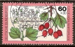 Stamps Germany -  