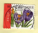 Stamps Belgium -  Correo Urgente.
