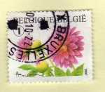 Stamps Belgium -  Flor