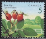 Sellos de America - Canad -  