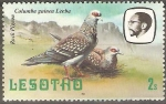 Stamps Lesotho -  PALOMA  DE  LA  ROCA