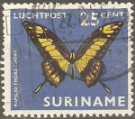 Stamps Suriname -  PAPILIO  THOAS  THOAS