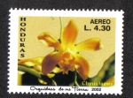 Stamps : America : Honduras :  Orquidias de Mi Tierra