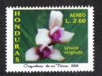 Sellos de America - Honduras -  Orquidias de Mi Tierra