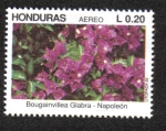 Stamps : America : Honduras :  Flores Ornamentales