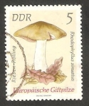 Stamps Germany -  1613 - Champiñón rhodophyllus sinuatus