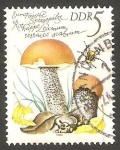 Stamps Germany -  2210 - Champiñón leccinum testaceo scabrum