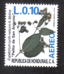 Stamps Honduras -  Pelito de San Antonio