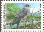 Stamps : Europe : Bosnia_Herzegovina :  AVES.  CUCULUS  CANORUS.