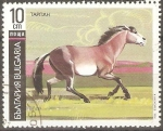 Stamps Bulgaria -  CABALLO  DE  TARPAN