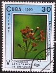 Stamps Cuba -  Scoot 3231