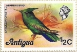 Stamps America - Antigua and Barbuda -  Colibrí de cresta antillano