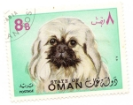 Stamps : Asia : Oman :  