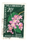 Stamps Africa - Cameroon -  