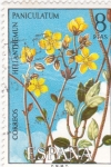 Stamps Spain -  Flora- Heliantemun (15)