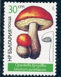 Stamps Bulgaria -  varios
