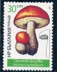 Stamps : Europe : Bulgaria :  varios