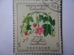 Stamps Colombia -  Curuba - Passiflora Mollissima - Serie:Flores.