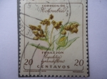 Sellos de America - Colombia -  Frailejón - Espeletia grandiflora