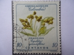 Stamps Colombia -  Frailejón - Espeletia grandiflora