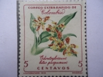 Stamps Colombia -  Odontoglossum luteo purpureum