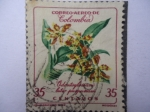 Stamps Colombia -  Odontoglossum Luteo Purpureum