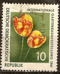 Stamps Germany -  Exposición Internacional de Horticultura 1961,dos tulipanes (DDR).