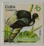 Stamps Cuba -  Mi CU3303