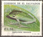 Stamps : America : El_Salvador :  ANFIBIOS.  AGALYCHNIS  MORELETII.