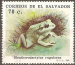 Stamps El Salvador -  ANFIBIOS.  ELEUTHERODACTYLUS  RUGULOSUS.