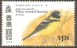 Stamps : Asia : Hong_Kong :  AVES  MIGRATORIAS.  COLORÌN  PECHO  AMARILLO.