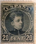 Sellos de Europa - Espa�a -  20 céntimos 1901